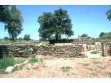 Dan - Sacred precinct and altar. Jeroboam established Dan as a place of worship in the northern kingdom